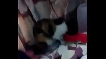 video miễn phí về tình dục đồng tính nam dành cho thanh thiếu niên