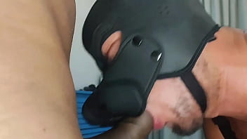 stars du porno gay blowjob college muscle twink
