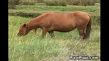 làm thế nào để đồng tính hậu môn